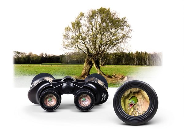 Allenjoy 20x50 Binoculars for Adults-3